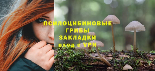 не бодяженный Баксан